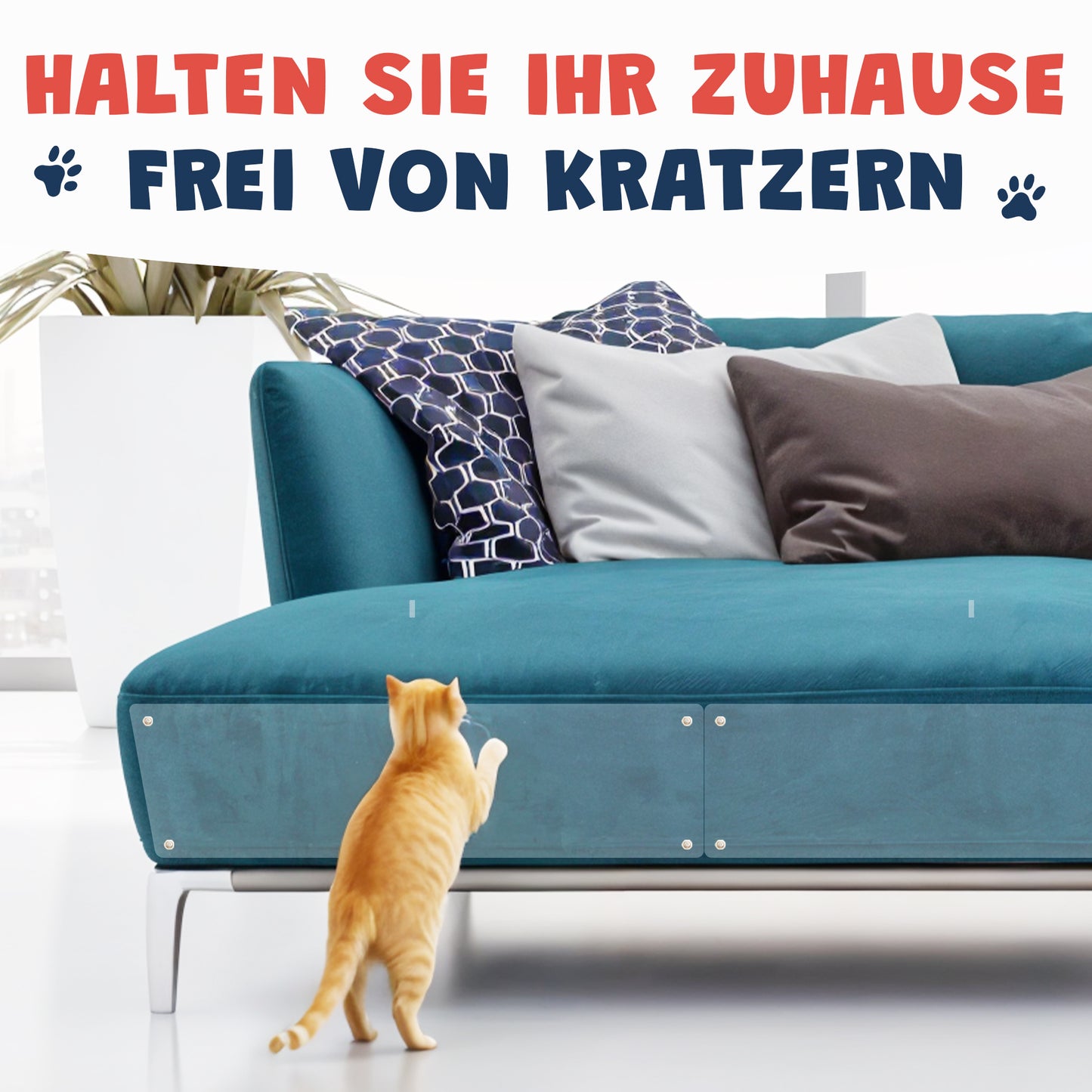 Kratzschutz Sofa Katze