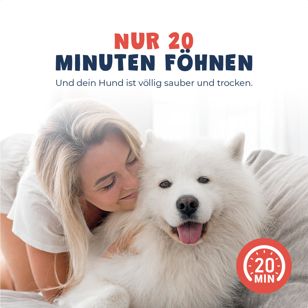 Hundeföhn
