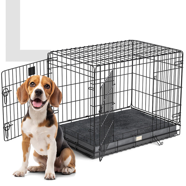 Hundebox Inkl. Kissen
