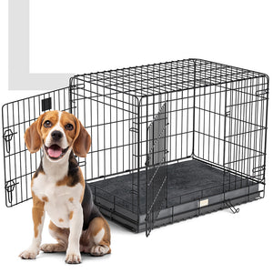 Hundebox Inkl. Kissen
