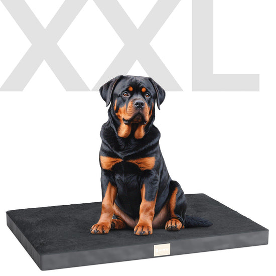 variant__xxl