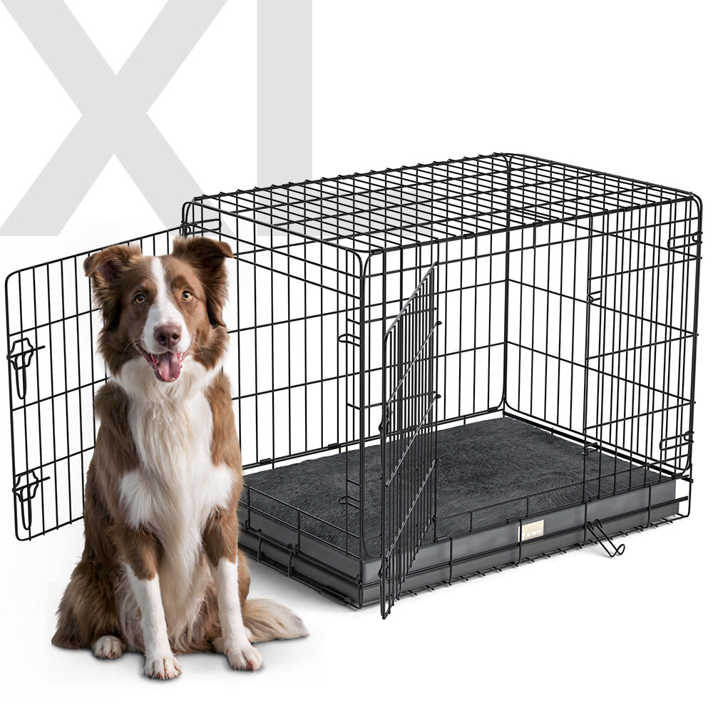 Hundebox Inkl. Kissen