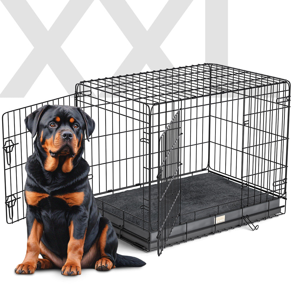 Hundebox Inkl. Kissen