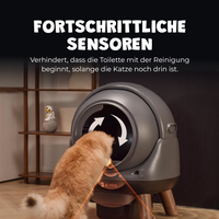 Selbstreinigende Katzentoilette